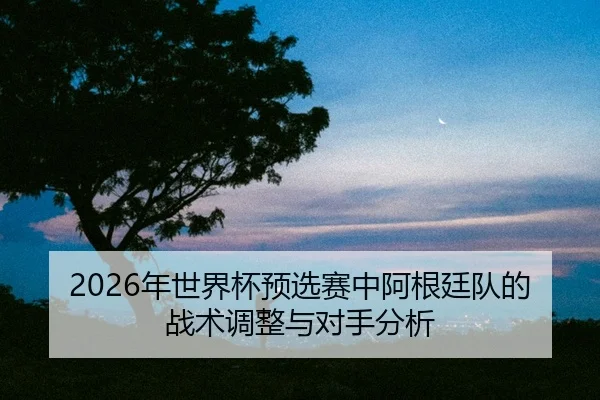 nian-shi-jie-bei-yu-xuan-sai-zhong-a-gen-ting-dui-de-zhan-shu-tiao-zheng-yu-dui-shou-fen-xi-2-172.jpg