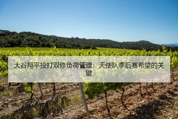 大谷翔平投打双修负荷管理：天使队季后赛希望的关键