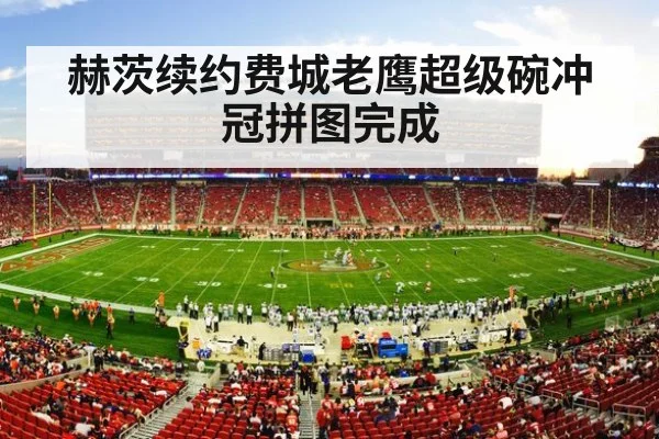 赫茨续约费城老鹰超级碗冲冠拼图完成